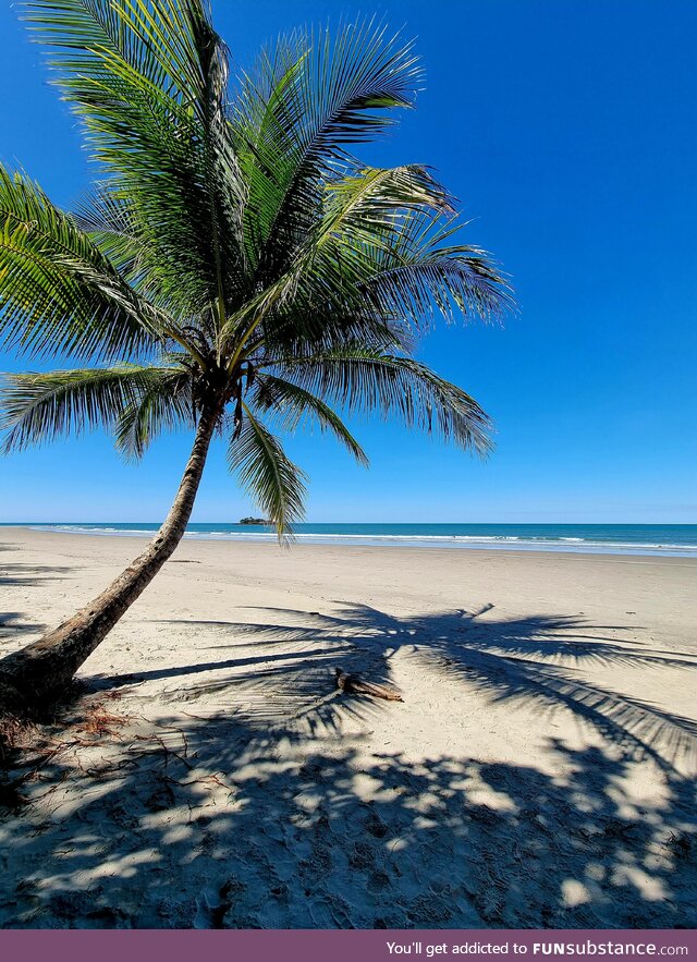 [OC] Tropical paradise, near Cape Tribulation, Australia