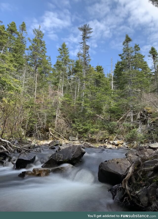 Hiking around the town called d*ldo in Newfoundland