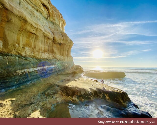 Torrey Pines Beach in San Diego, CA