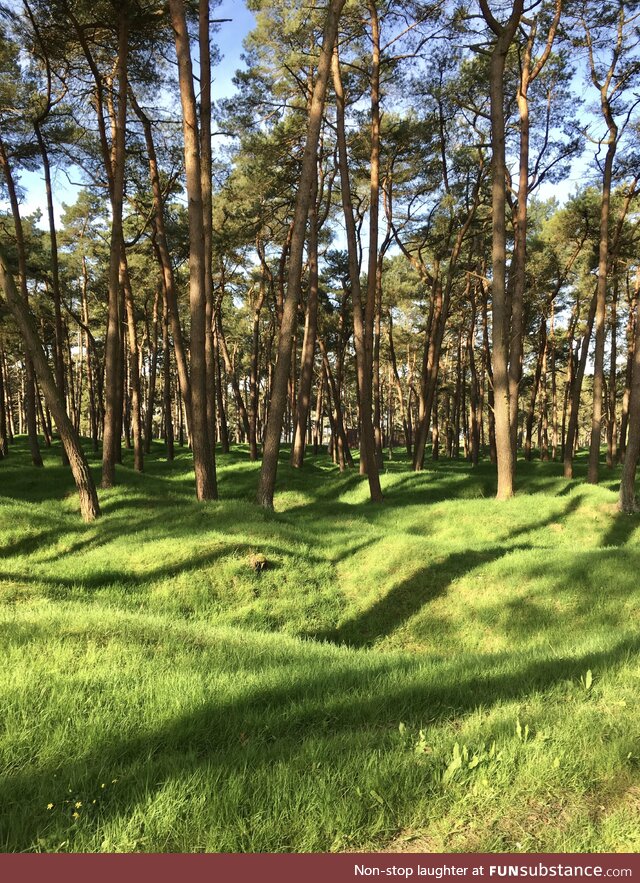 Scarred earth, Vimy Ridge