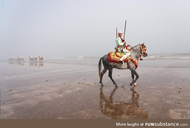 ITAP of the Leader of the Horse Troop of the King of Morocco