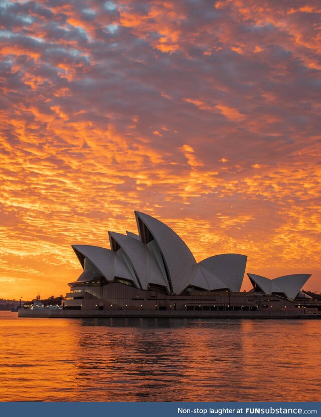 The Opera House at dawn