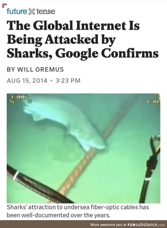 Shark Attack will have a new meaning