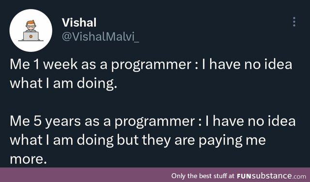 5 years as a programmer