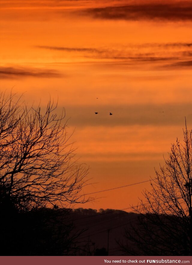 The sun rising over the hill this morning