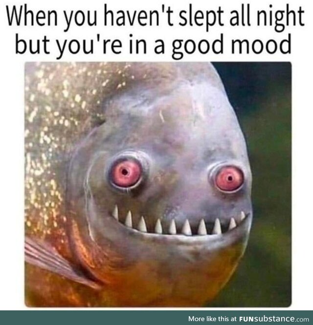 Sleep Is for the Weak Anyway