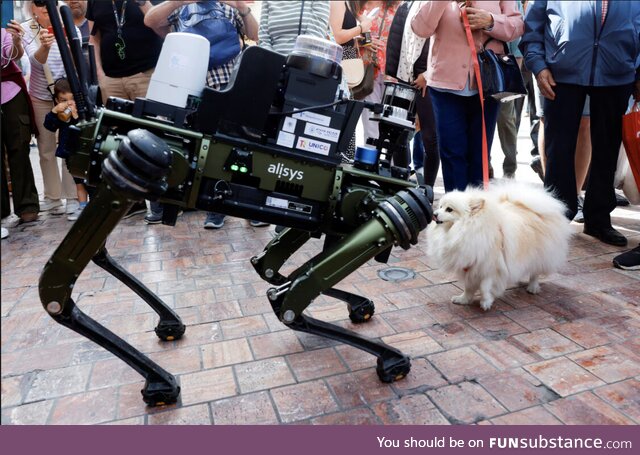 Robodogo and dogo meet