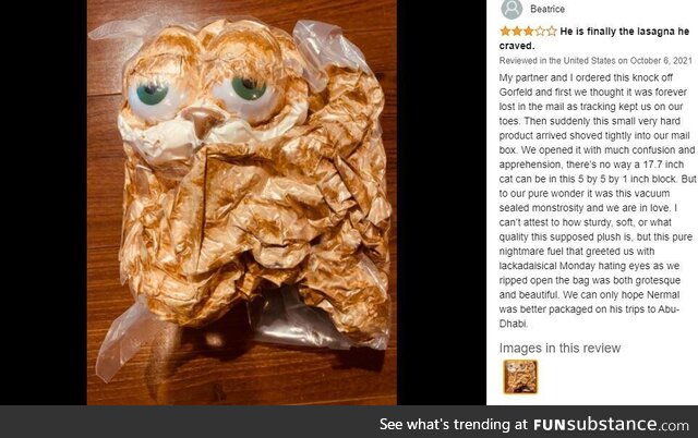 Vacuum-sealed garfield