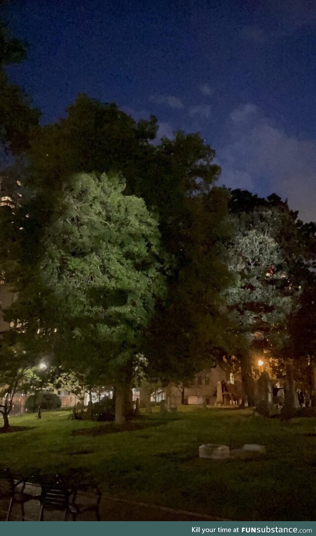 Cemetery in Charlotte, NC projected the faces of unnamed slaves whose graves are the