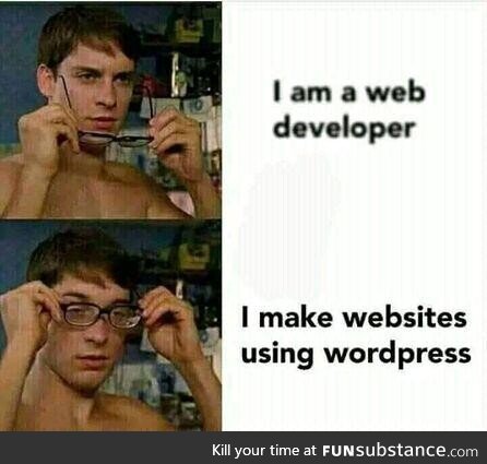 wordpressDeveloper