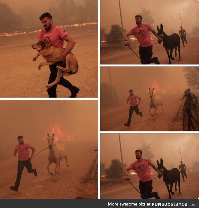 Hero in Greece going above and beyond to save animals from forest fire