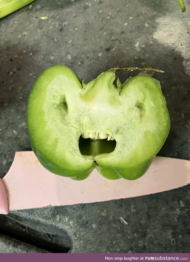 Green bell pepper: A cross-section