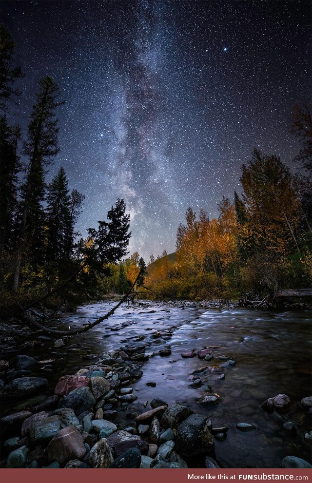 Oro y Plata "Gold and Silver" at Flathead National Forest, Montana