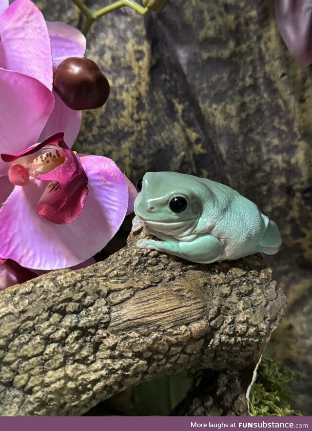 Stopping to Smell the Flowers