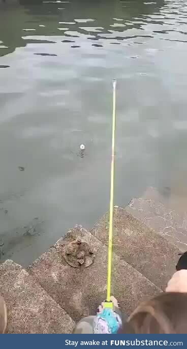 What the fish is that?