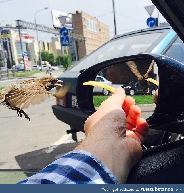 Objects in the mirror are in a different timeframe than they seem to be