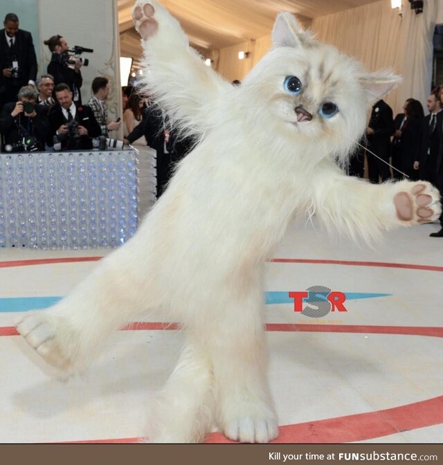 Jared Leto as Karl Lagerfeld’s cat Choupette... At the met gala