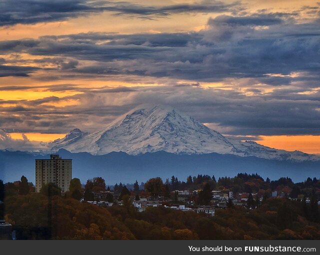 <3 Seattle mornings