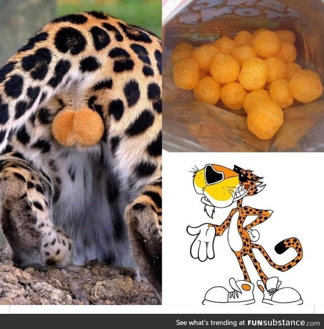 Cheetos …