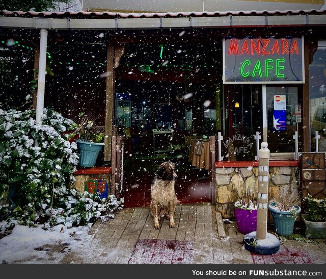 Took this picture last winter in Beykoz, Turkey