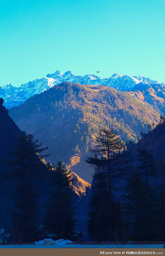 Good morning from kasol, India