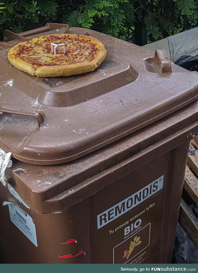 Someone left a whole pizza out for the birds