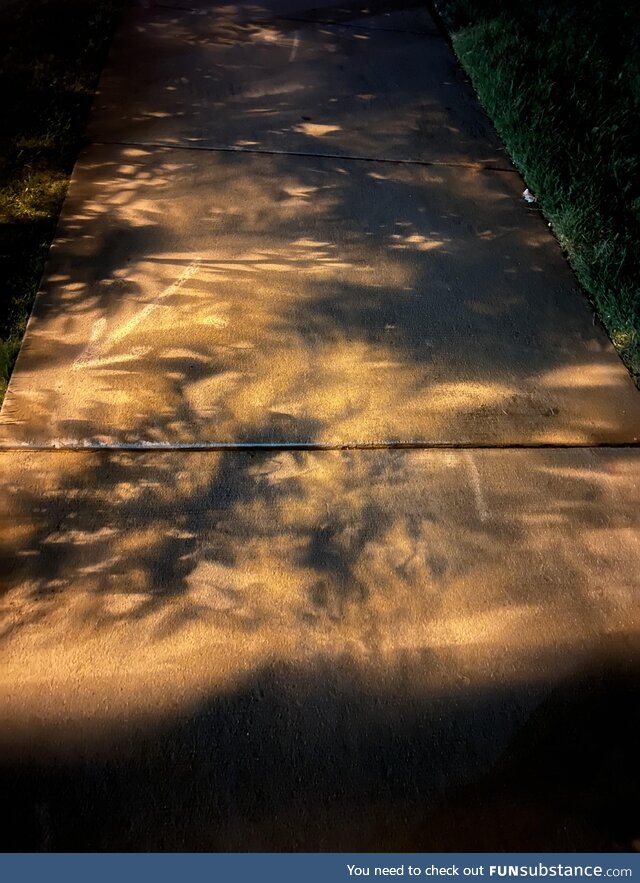 Shadows on a sidewalk at night