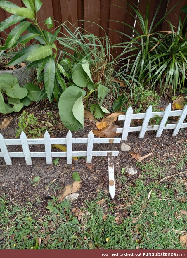 Damn hurricane Nicole broke my fence