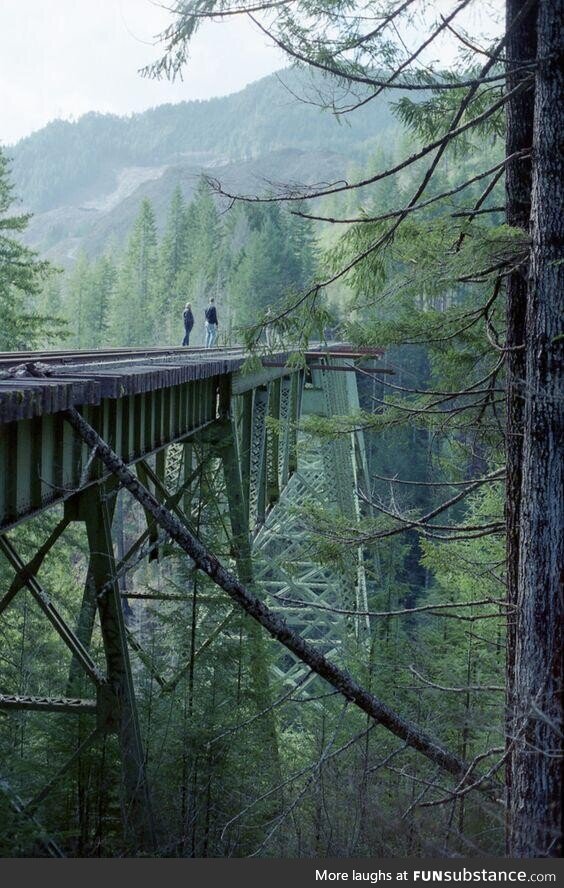 Vance creek bridge, washington, united states