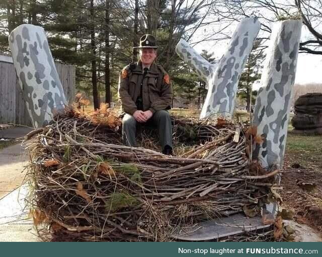 A bald Eagle's nest. Ranger included for scale