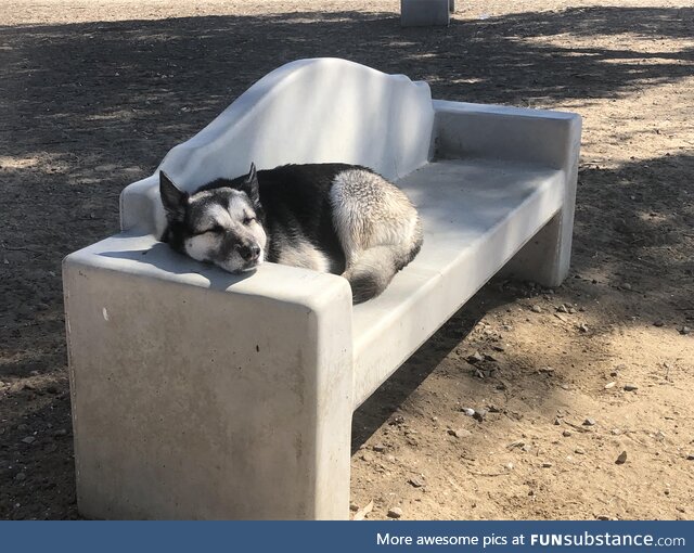 Sunbathing