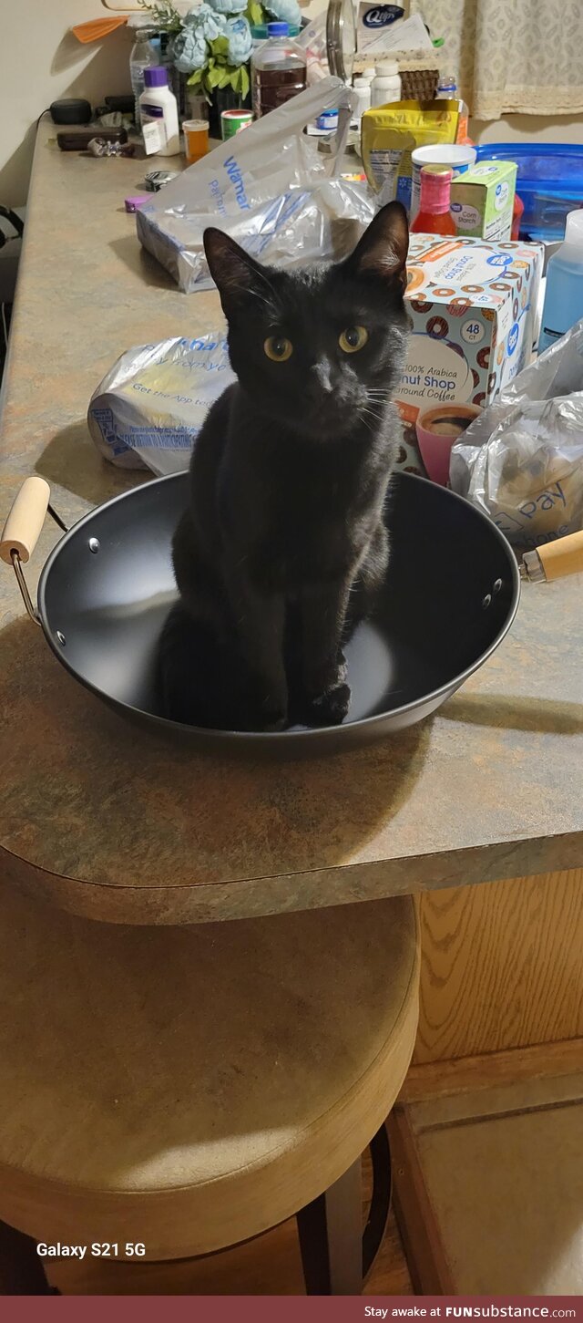 Bought a wok..And a fresh cat!