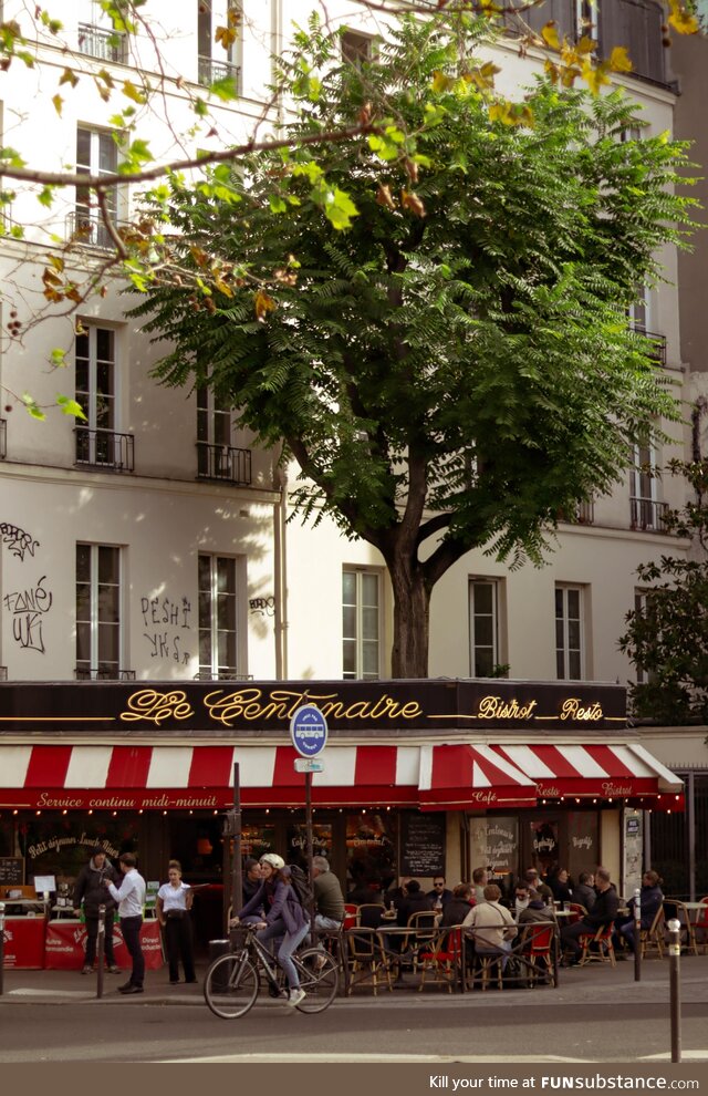 A bar and a tree in Paris