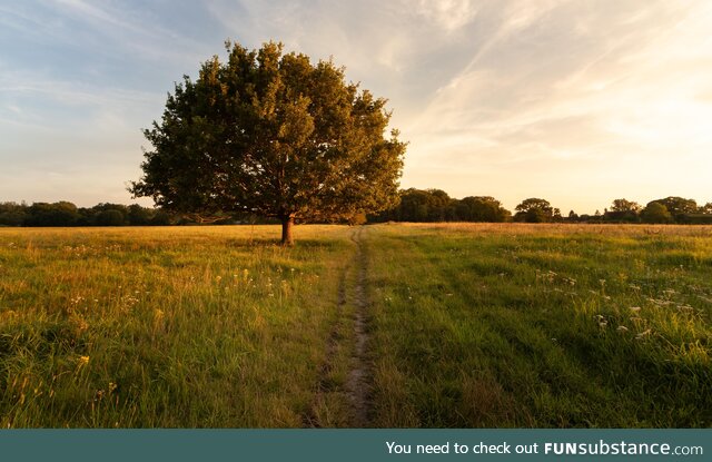 There's something peaceful about golden hour