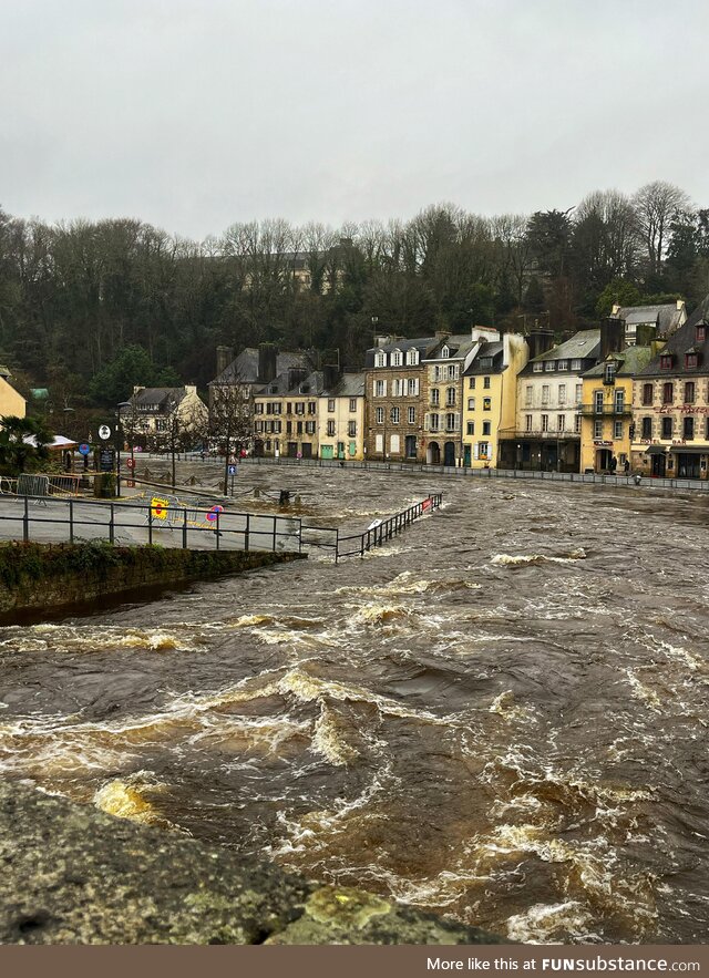 River in our city overflowed on NYE, shows on the buildings in the back how high the