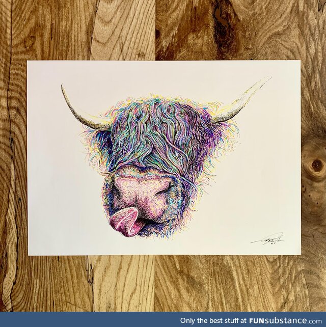 (oc) iridescent cheeky highland coo