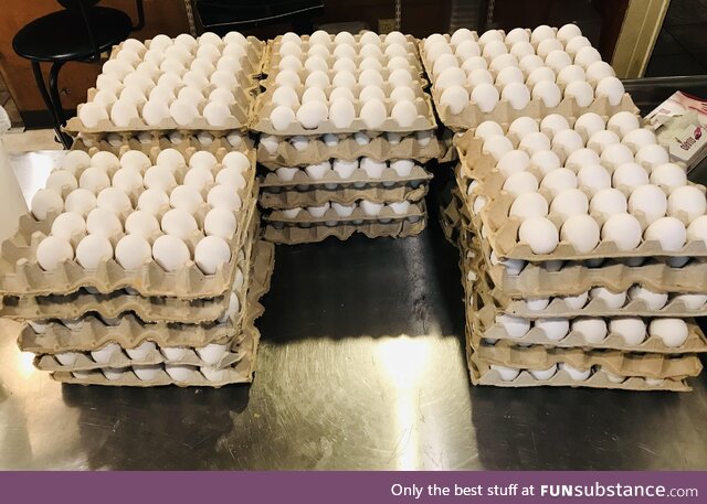 $400 in eggs - 2023