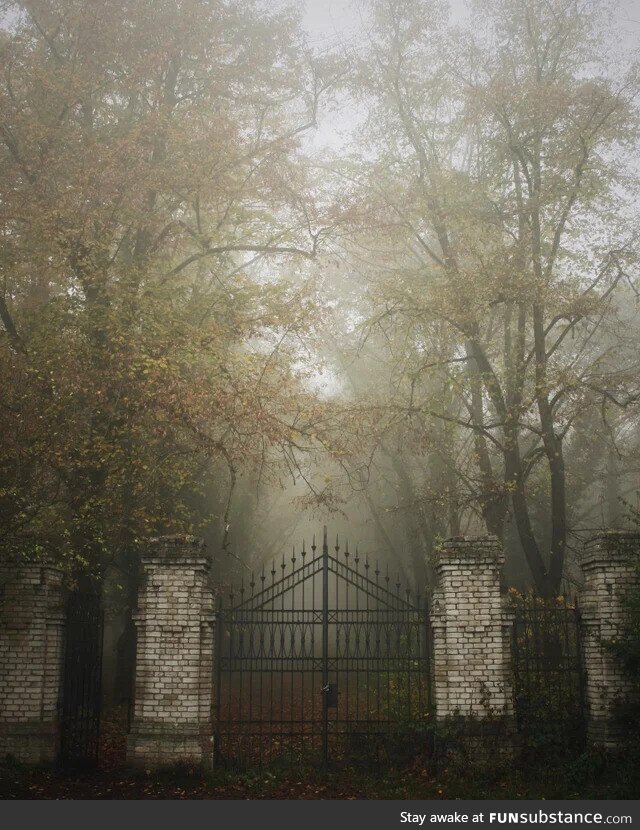 Abandoned asylum cemetery of the insane