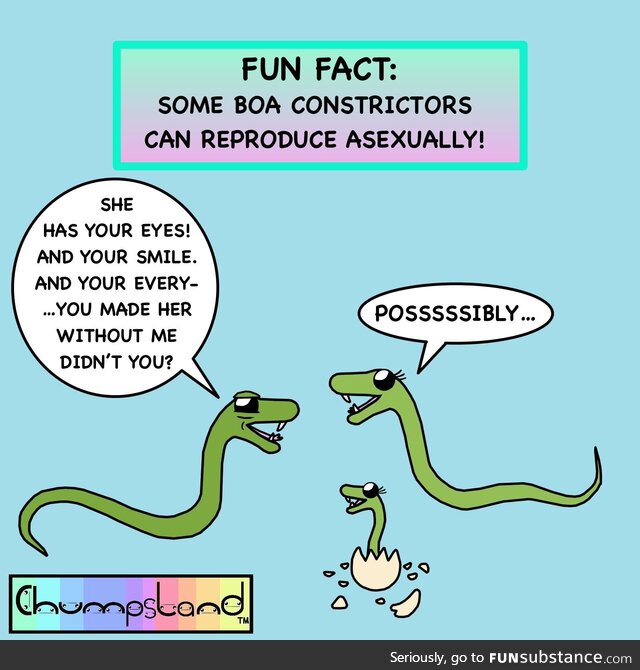 Fun fact about boas [oc]