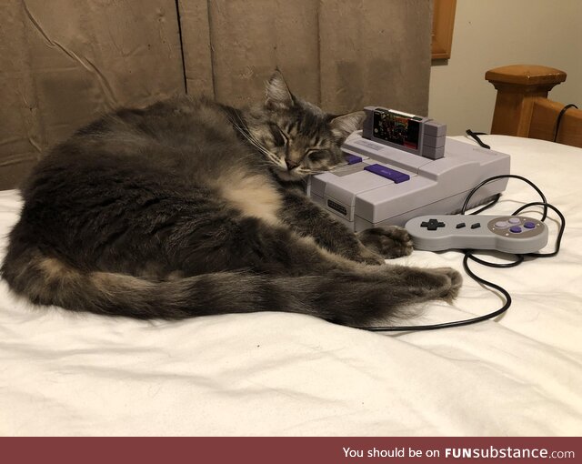 Cat sleeping on a Super Nintendo