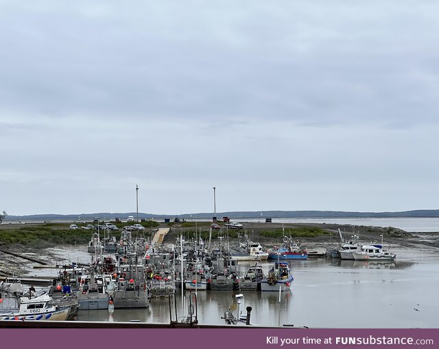 The dwindling fishing harbor at the end of the season in Dillingham, AK [OC]