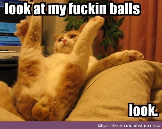 Look at my f*ckin balls..Look