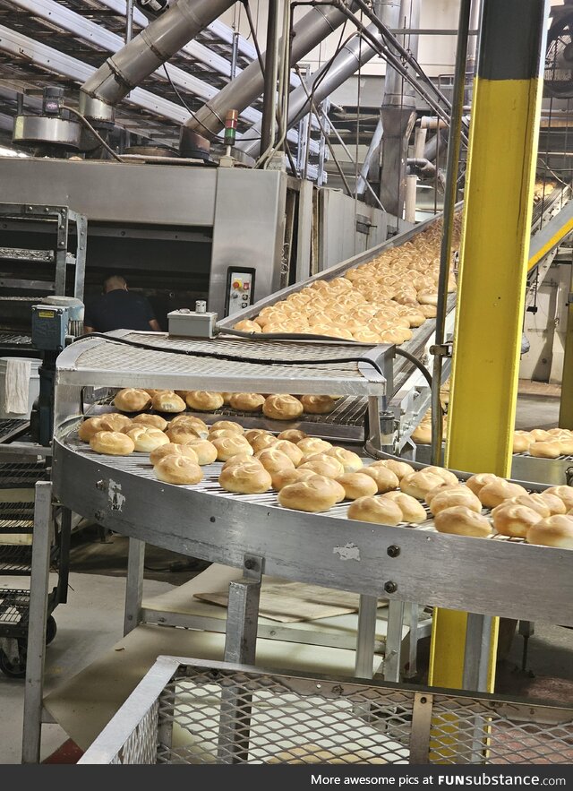 Went to a bakery a few days ago, the amount of bagels and bread here was crazy