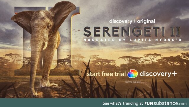 Welcome to the epic next chapter of our story. Stream Serengeti II on discovery+. Start