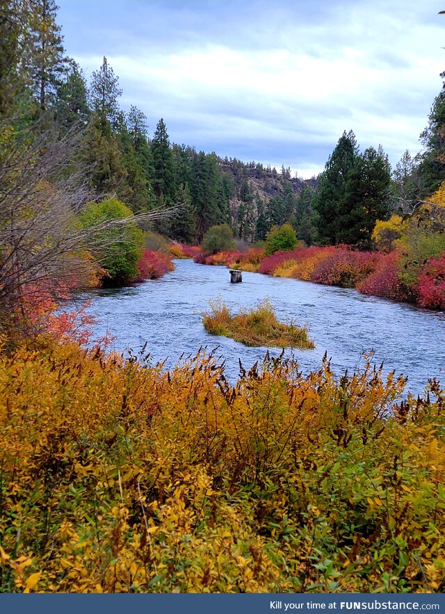 Fall Colors at Oregon's Tumalo State Park