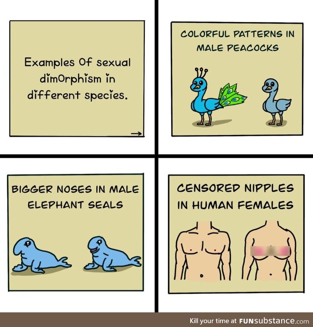 Sexual dimorphism