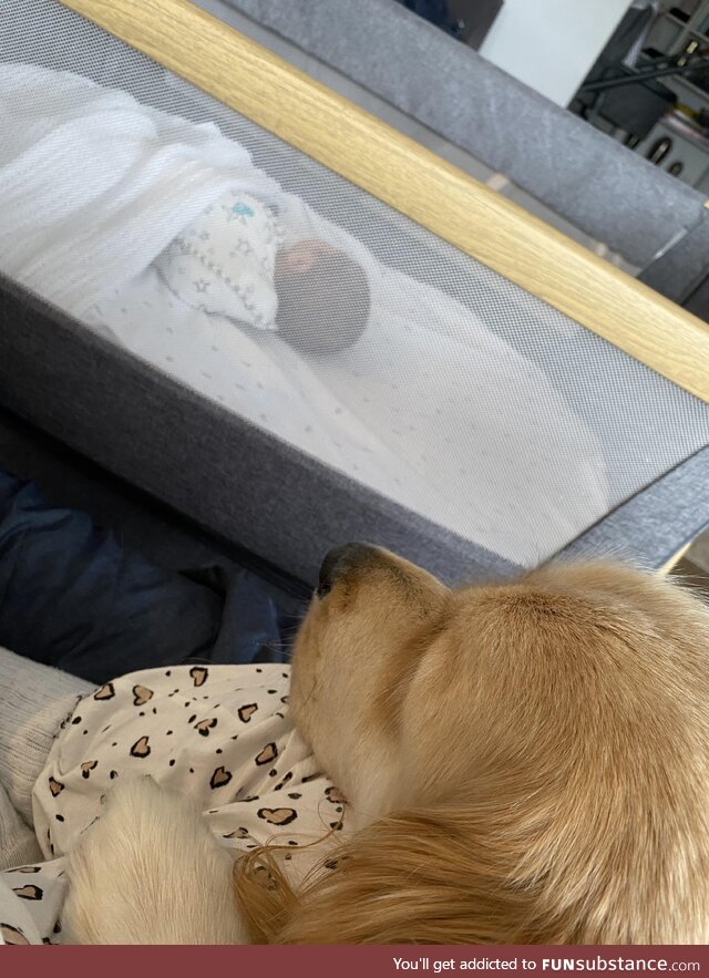 Benny watching over his new brother Luca