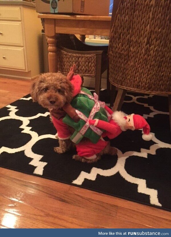 Girlfriend had a misfire with Bentley’s Christmas outfit