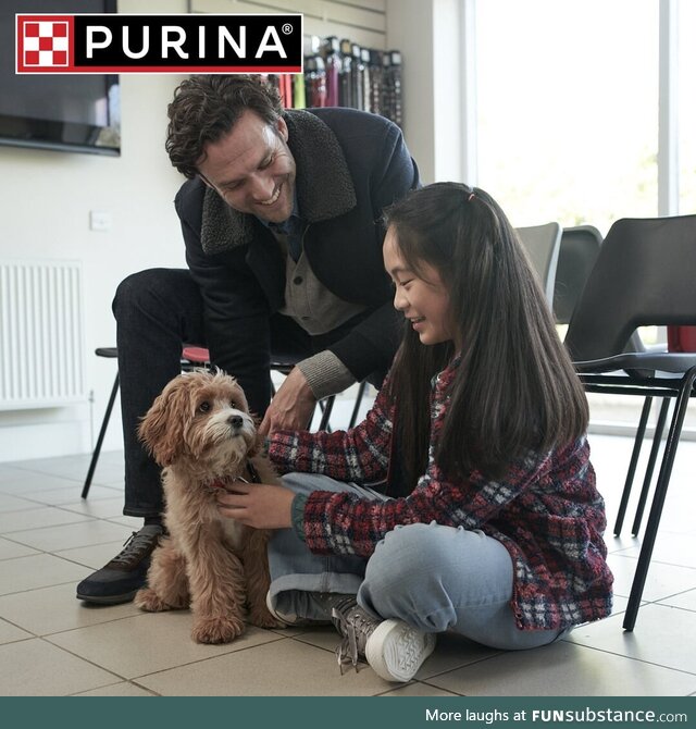 Purina cares about the future of every pet. Purina and Petfinder partner to bring a