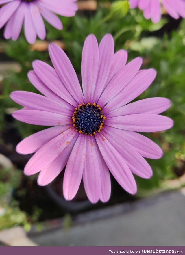 [OC] A close-up pic of Cape Marguerite